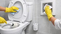 Bau toilet tak hilang meski sudah disikat? cek 4 titik yang sering terlupa