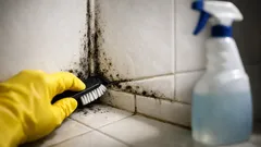 Cara membersihkan jamur hitam di kamar mandi agar tidak balik lagi