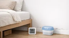 3 spot rumah yang paling sering jadi sarang jamur dan cara mencegahnya