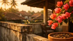 12 varietas bugenvil paling cerah untuk pot, pagar, dan rambatan plus tips biar rajin berbunga